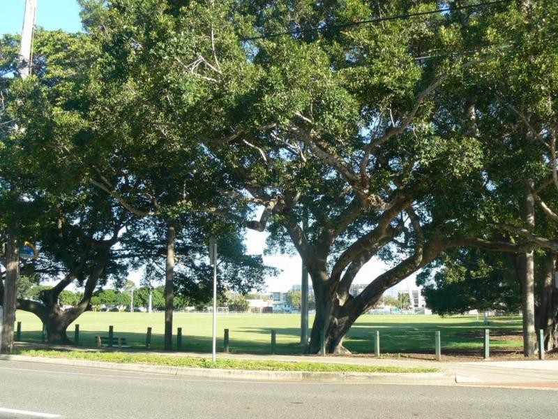 109 Lytton Road, Bulimba QLD 4171