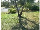 11 Hyde Court, Alexandra Hills QLD 4161