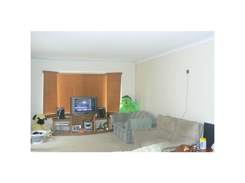 47 Thorne Road, Birkdale QLD 4159