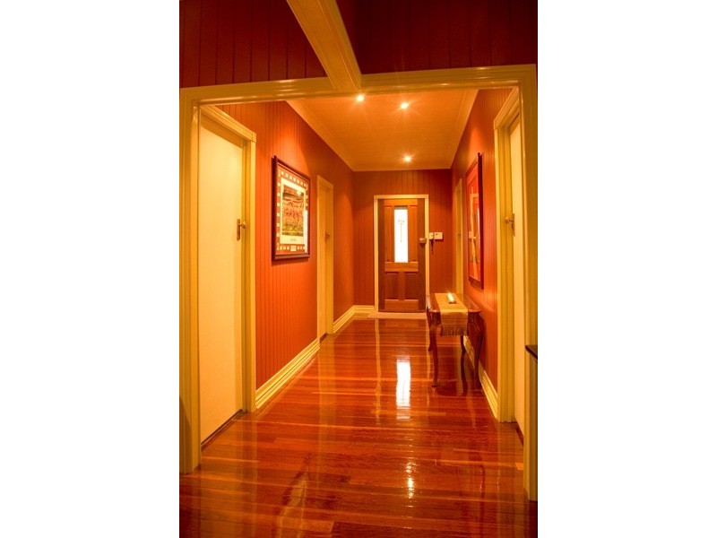 37 Shakespeare Street, Coorparoo QLD 4151