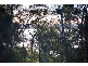 21 Allan Day Drive, Wellington Point QLD 4160