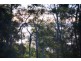 21 Allan Day Drive, Wellington Point QLD 4160