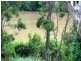1 Loffs Road, Loganholme QLD 4129