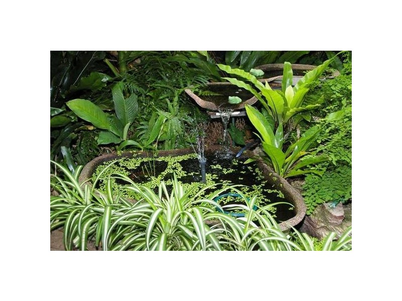 60 Warner Street, Wellington Point QLD 4160