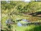 33 Wilsons Lane, Hickeys Creek NSW 2440