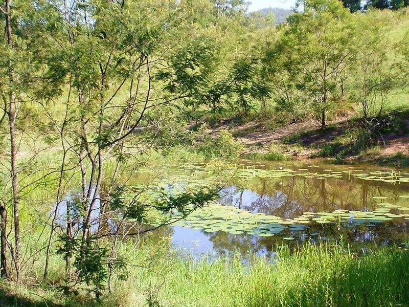 33 Wilsons Lane, Hickeys Creek NSW 2440