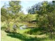33 Wilsons Lane, Hickeys Creek NSW 2440
