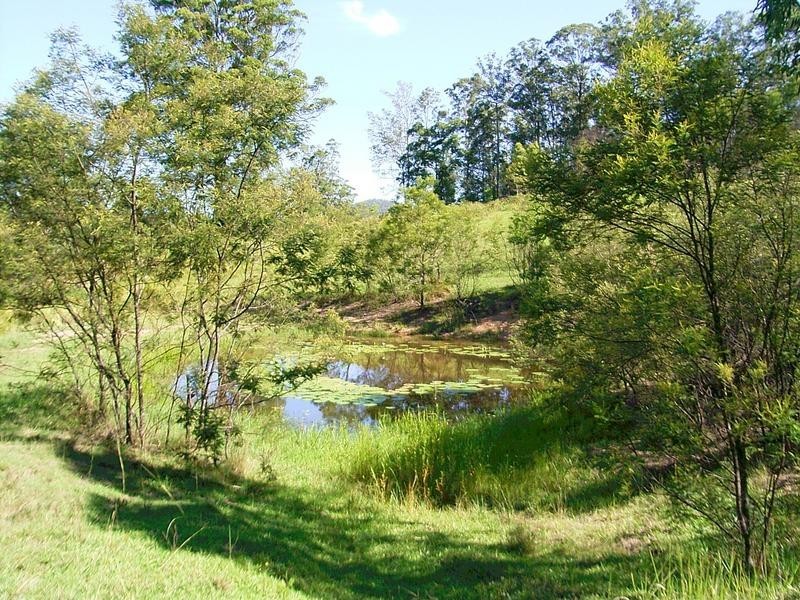 33 Wilsons Lane, Hickeys Creek NSW 2440
