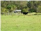 33 Wilsons Lane, Hickeys Creek NSW 2440