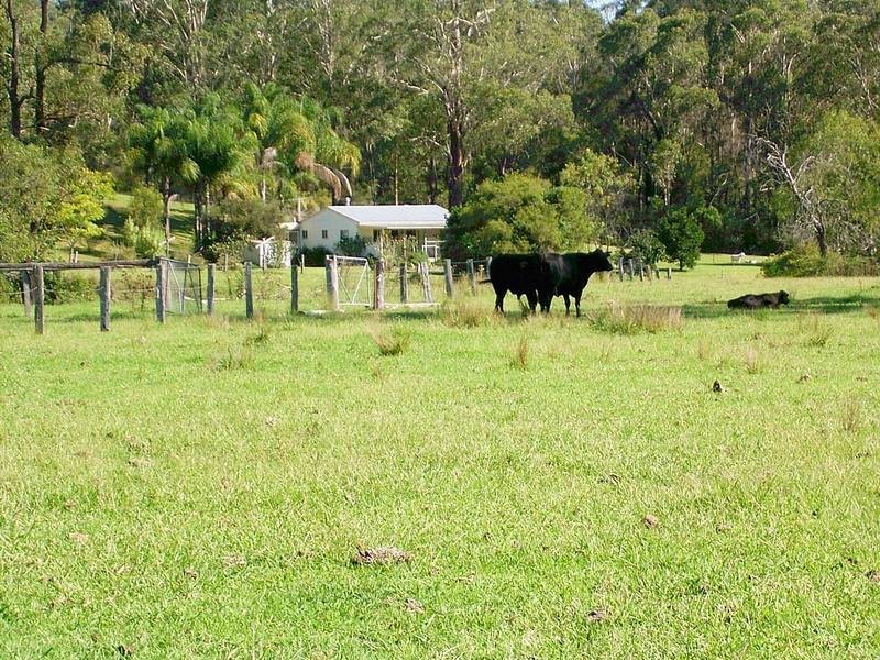 33 Wilsons Lane, Hickeys Creek NSW 2440