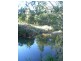 33 Wilsons Lane, Hickeys Creek NSW 2440