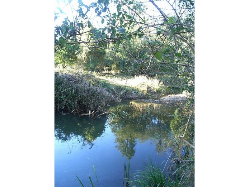 33 Wilsons Lane, Hickeys Creek NSW 2440