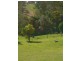 33 Wilsons Lane, Hickeys Creek NSW 2440