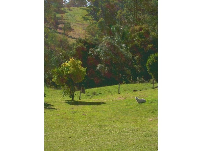 33 Wilsons Lane, Hickeys Creek NSW 2440