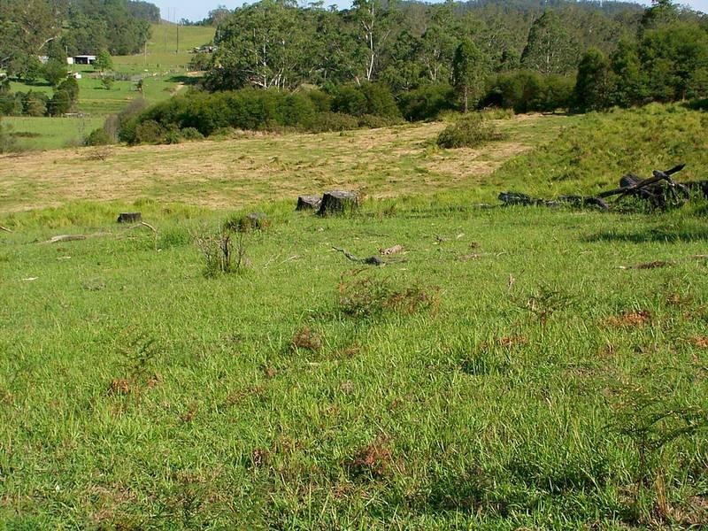 33 Wilsons Lane, Hickeys Creek NSW 2440