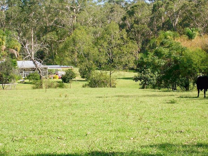 33 Wilsons Lane, Hickeys Creek NSW 2440
