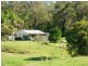 33 Wilsons Lane, Hickeys Creek NSW 2440