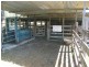 Kempsey NSW 2440