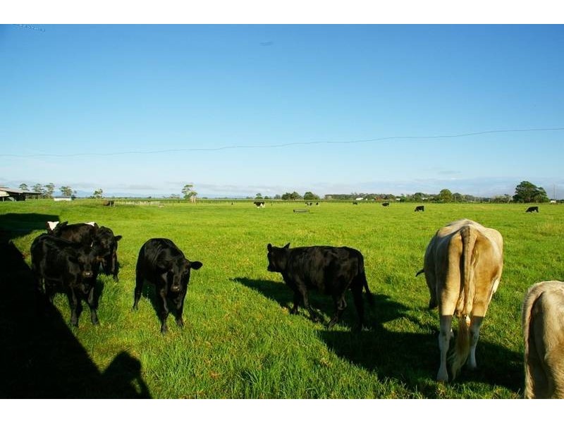 573 Summer Island Road, Summer Island via, Kempsey NSW 2440