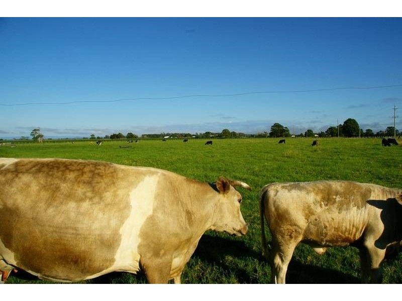 573 Summer Island Road, Summer Island via, Kempsey NSW 2440