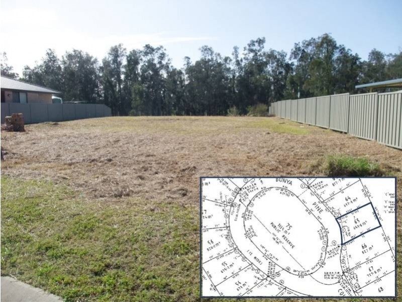 37 Bunya Pines Court, West Kempsey NSW 2440