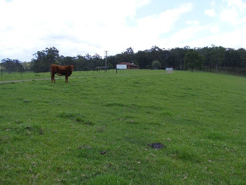 339 Turners Flat Road, Turners Flat Via, Kempsey NSW 2440