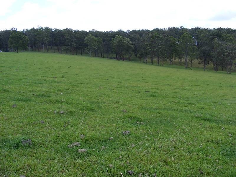 339 Turners Flat Road, Turners Flat Via, Kempsey NSW 2440