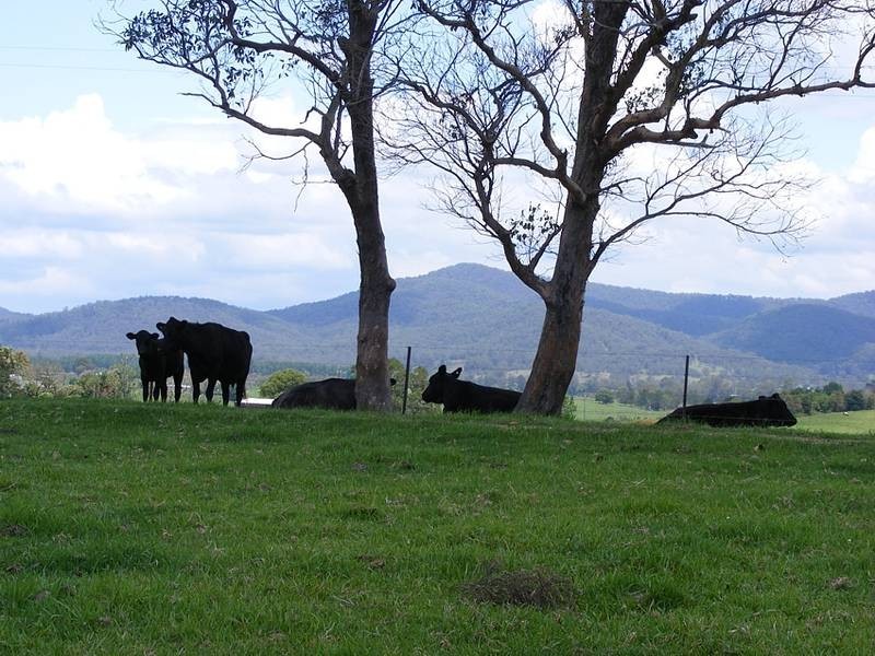 339 Turners Flat Road, Turners Flat Via, Kempsey NSW 2440