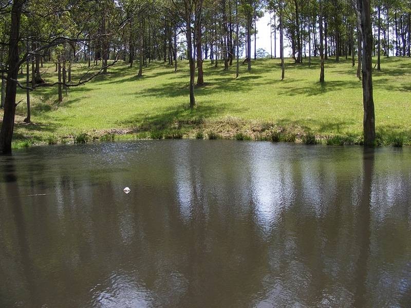 339 Turners Flat Road, Turners Flat Via, Kempsey NSW 2440