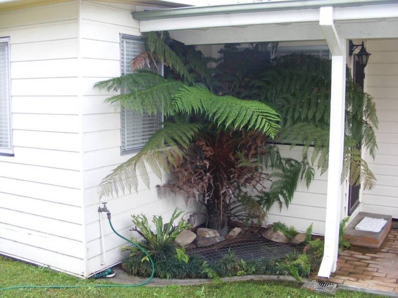 Kempsey NSW 2440