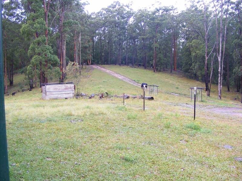 44 Ptolemys Access, Collombatti NSW 2440