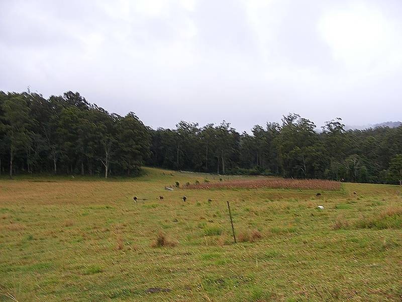 Lot 24&42,  Ptolemys Access, Collombatti via, Kempsey NSW 2440