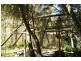 Lot 12 Maria River Road, Crescent Head NSW 2440