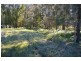 Lot 12 Maria River Road, Crescent Head NSW 2440