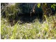 Lot 12 Maria River Road, Crescent Head NSW 2440