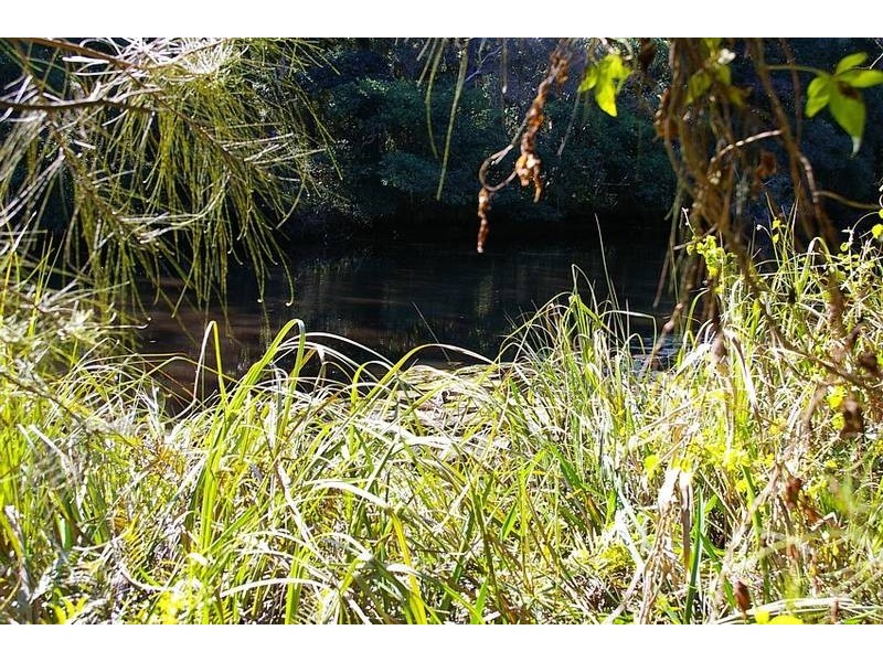 Lot 12 Maria River Road, Crescent Head NSW 2440