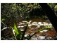 Lot 12 Maria River Road, Crescent Head NSW 2440
