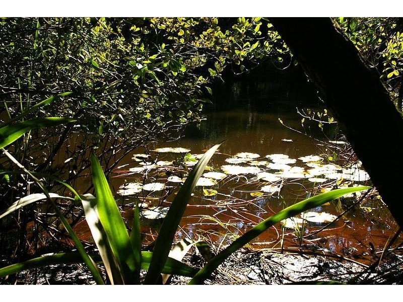 Lot 12 Maria River Road, Crescent Head NSW 2440