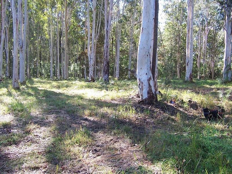 Lot 59 Winstead Road, Kundabung via, Kempsey NSW 2440
