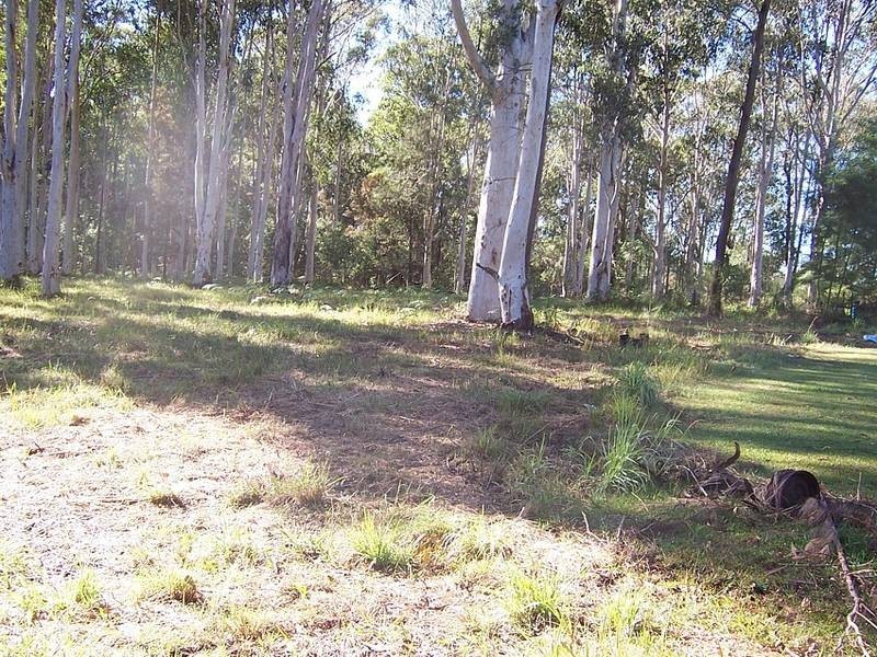 Lots 1-7 Winstead Road, Kundabung via, Kempsey NSW 2440