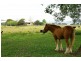 Kempsey NSW 2440