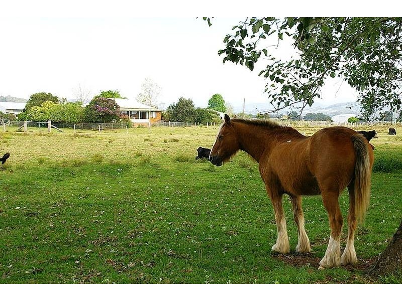 Kempsey NSW 2440