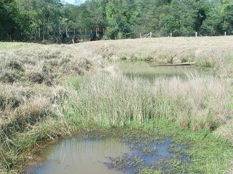 Lot 4 Spooners Avenue, Collombatti via, Kempsey NSW 2440