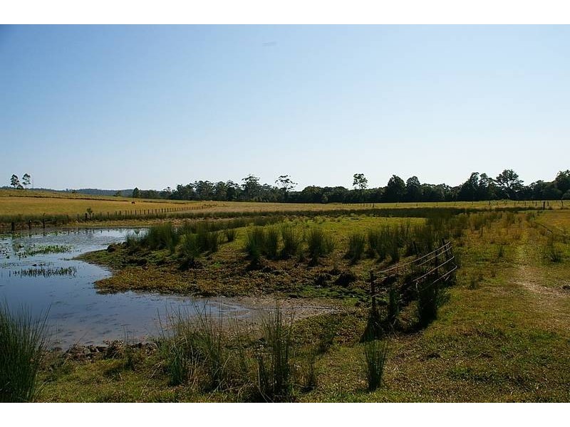 1268 Collombatti Road, Collombatti Via, Kempsey NSW 2440