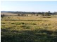 1268 Collombatti Road, Collombatti Via, Kempsey NSW 2440