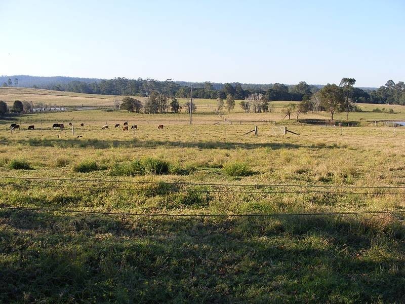 1268 Collombatti Road, Collombatti Via, Kempsey NSW 2440