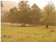 Lot 84 Armidale-Kempsey Road, Georges Creek via, Kempsey NSW 2440