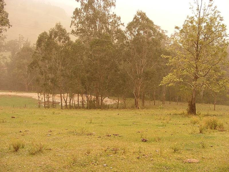 Lot 84 Armidale-Kempsey Road, Georges Creek via, Kempsey NSW 2440