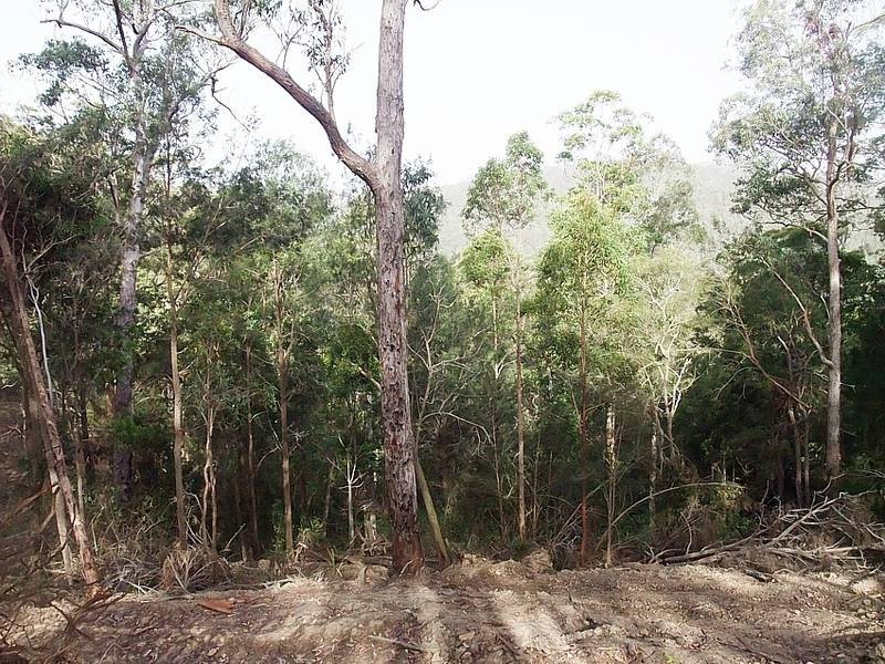 Kempsey NSW 2440