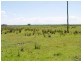 Kempsey NSW 2440